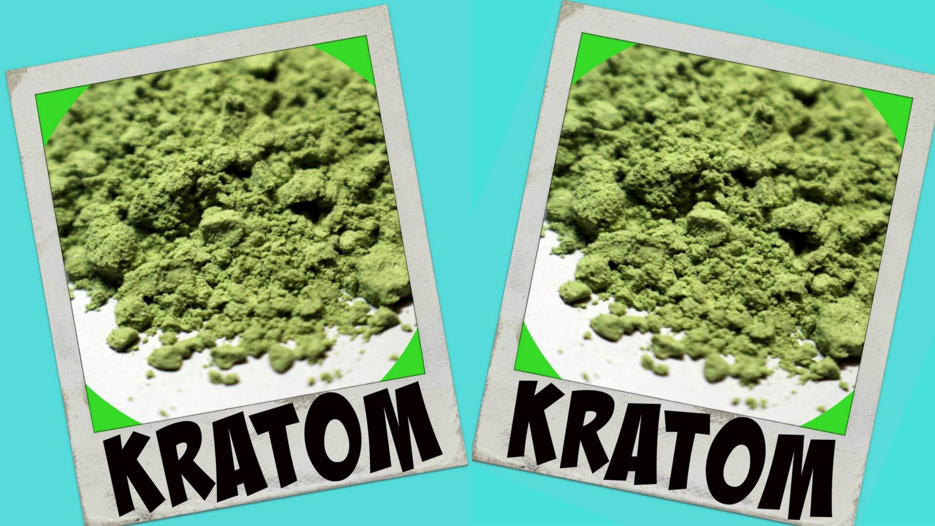 How To Use Kratom For Newbies: Dosage, Strains, Discomfort Relief