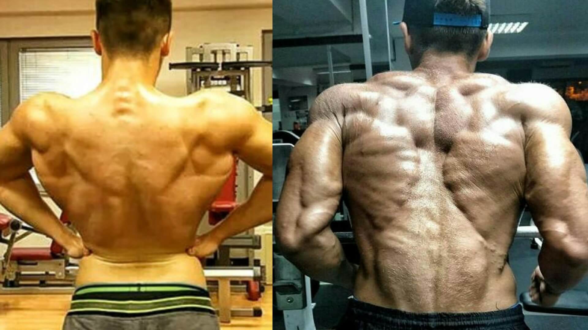 CRAZY SARMS CYCLE TRANSFORMATION - Before And After Pictures
