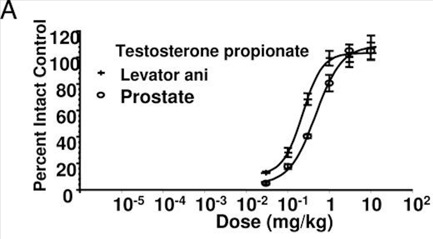 Testosterone exhibits a two to one selectivity of muscle tissue to prostate